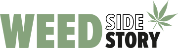 Consultant Shopify freelance - expert CRO et product design
